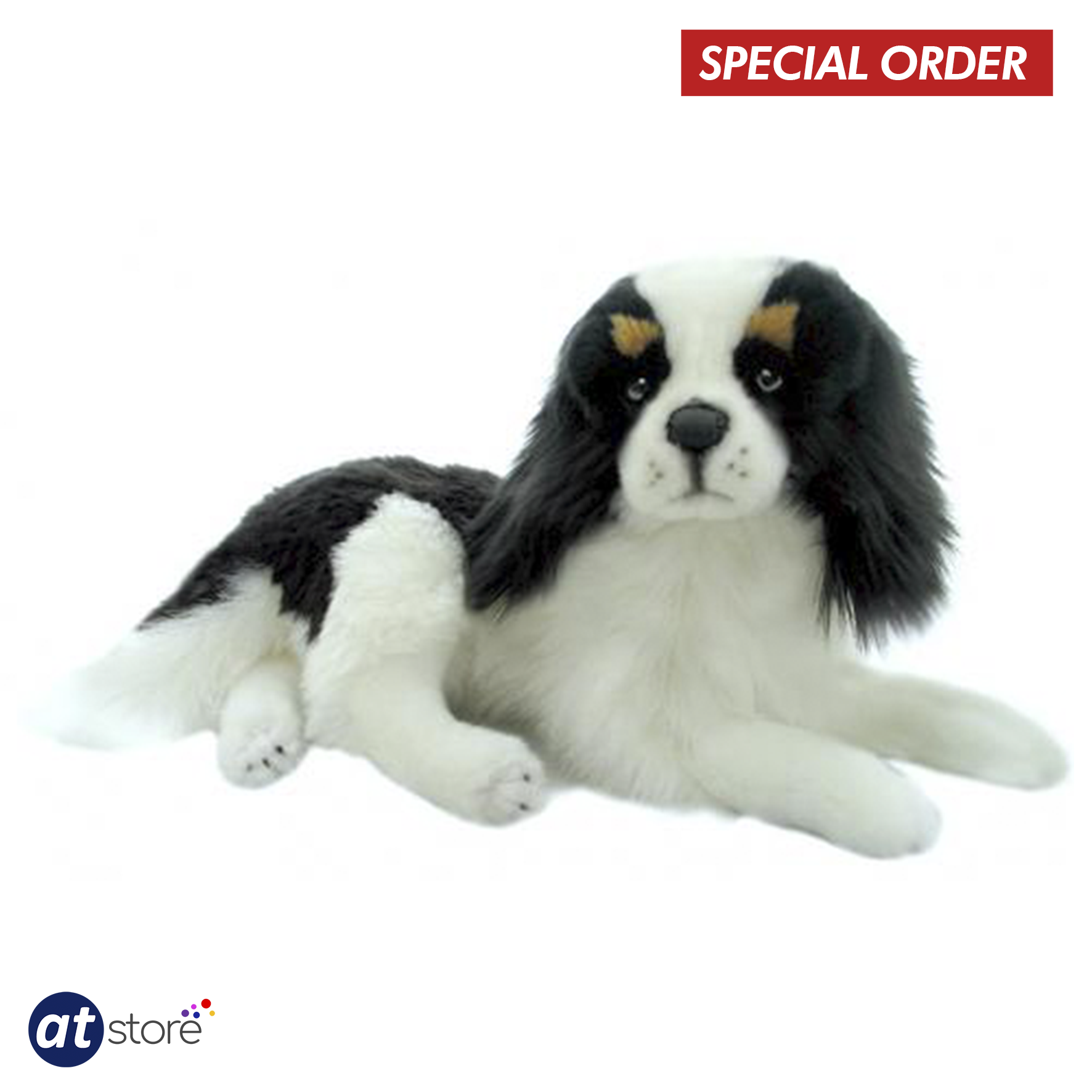 Weighted King Charles.png