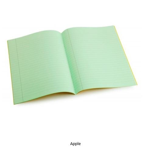 Tinted Exercise Books A4 apple.JPG
