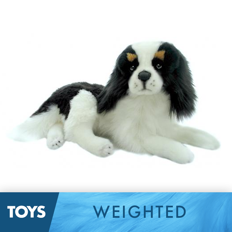 Weighted King Charles Spaniel