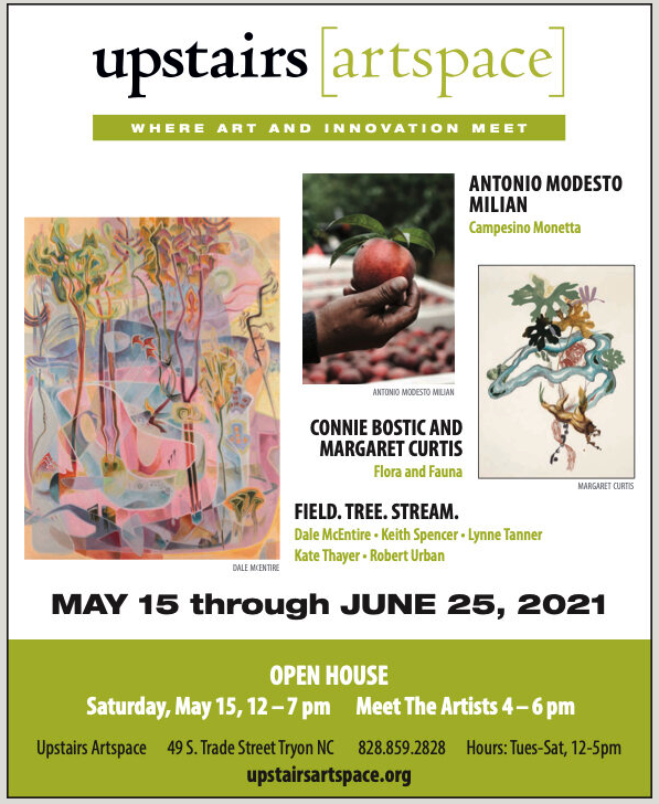 Field. Tree. Stream..png