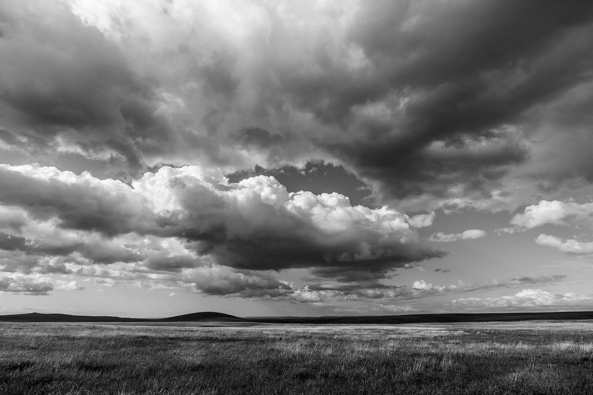 Zumwalt Prairie Storm | Oregon