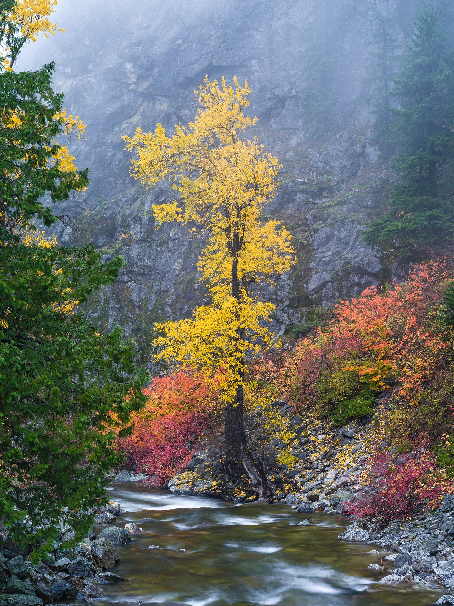 Nason Creek Autumn | Washington