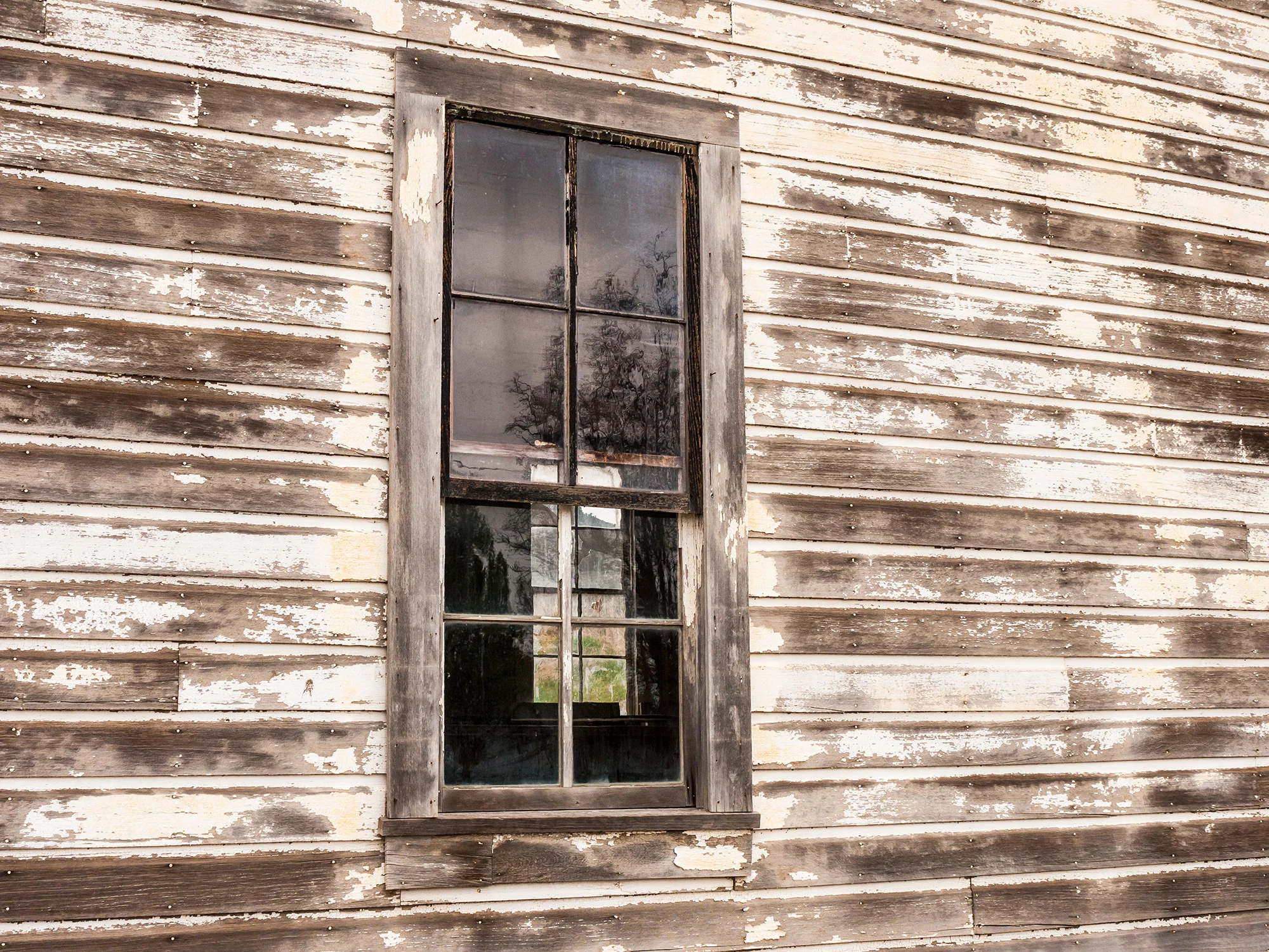 Old Window | Oregon