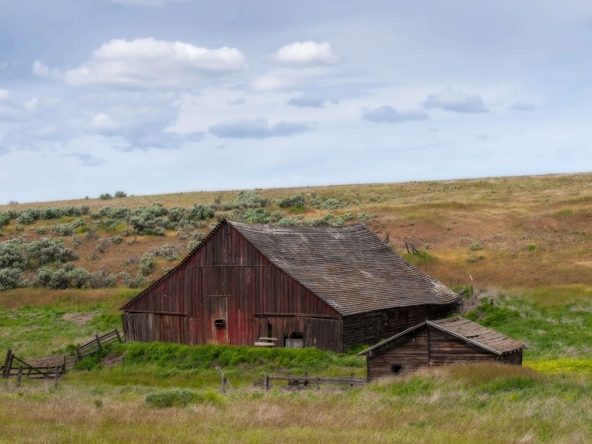 Faded Dreams | Oregon