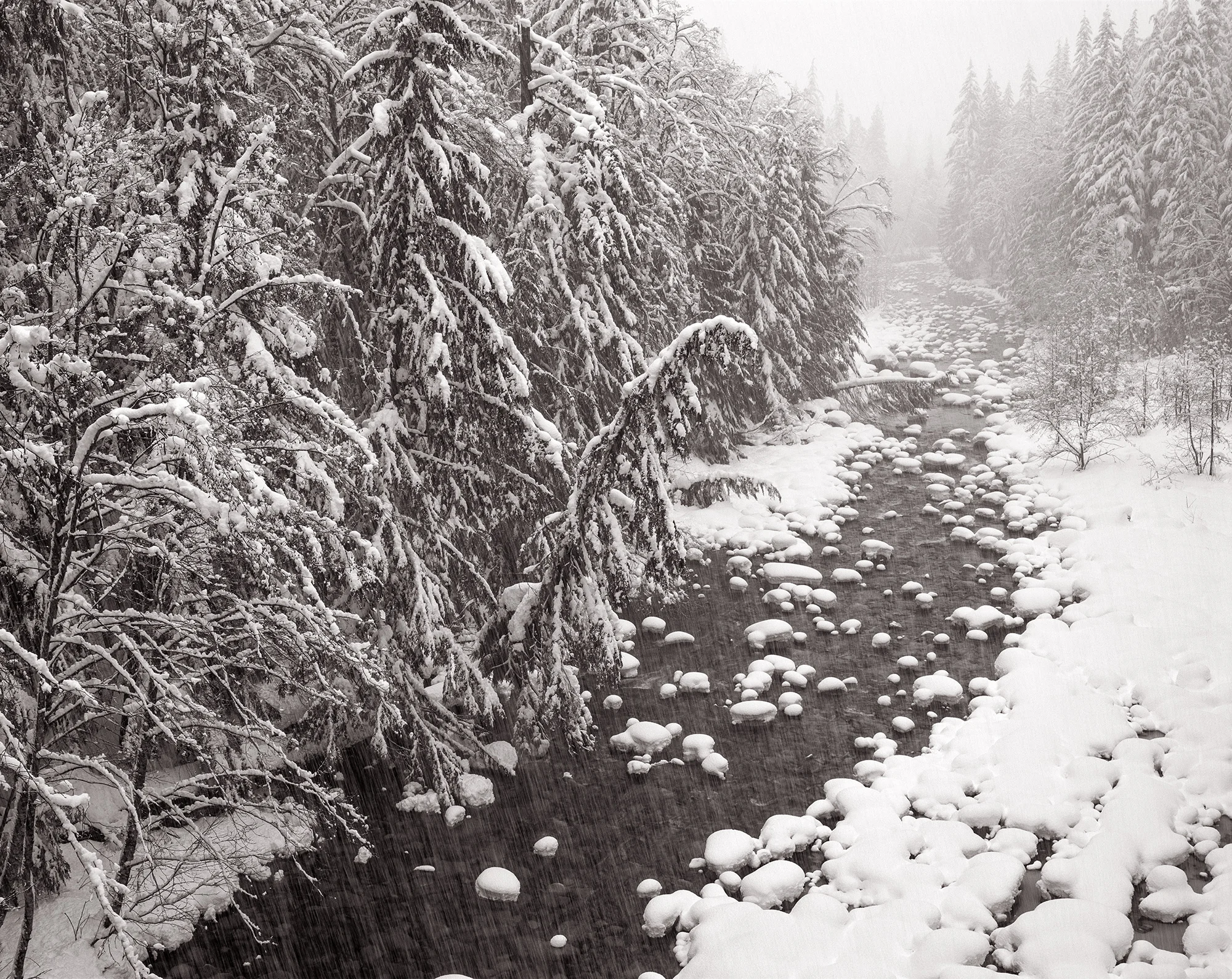 Denny Creek Winter | Washington