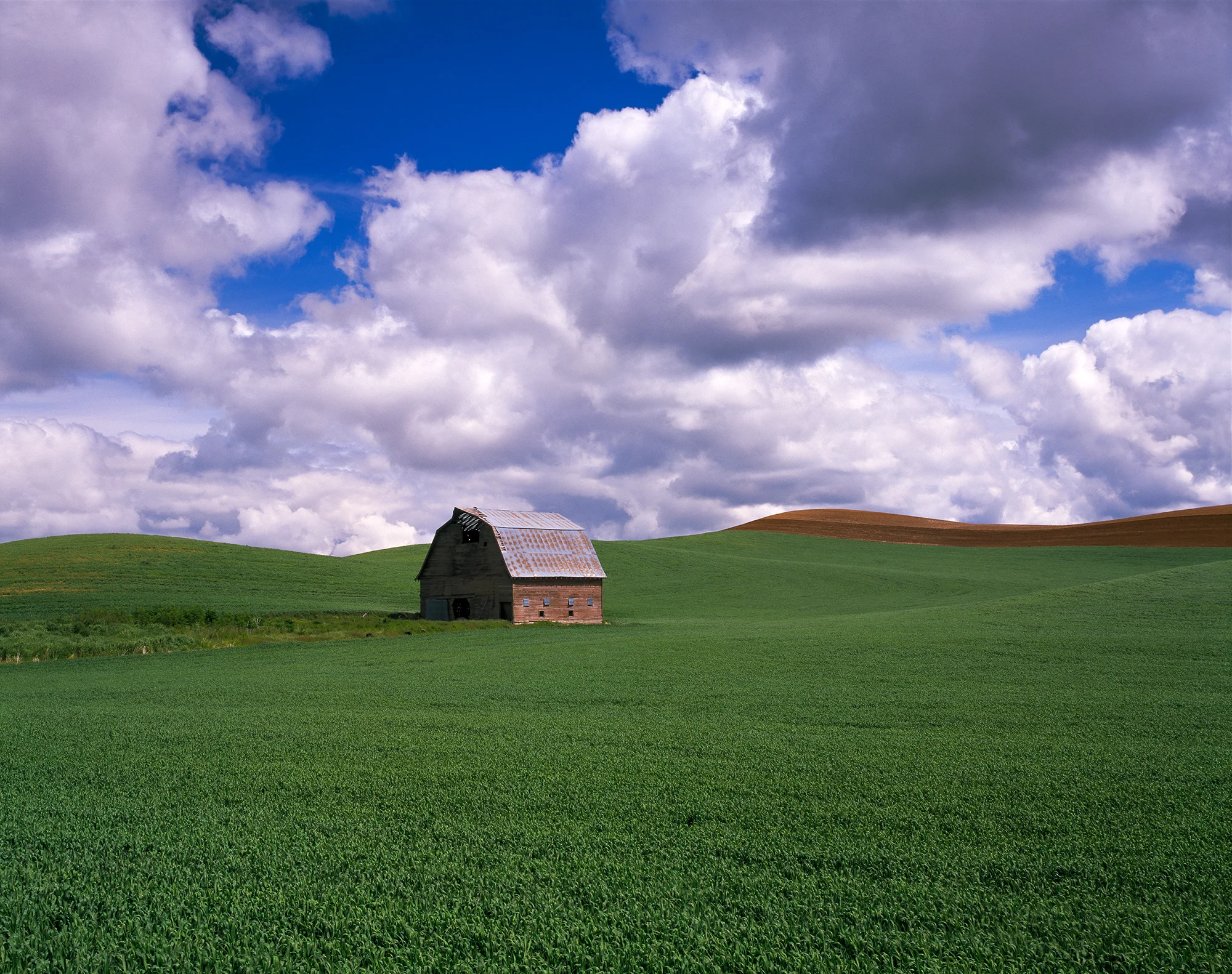 Palouse Barn | Washington