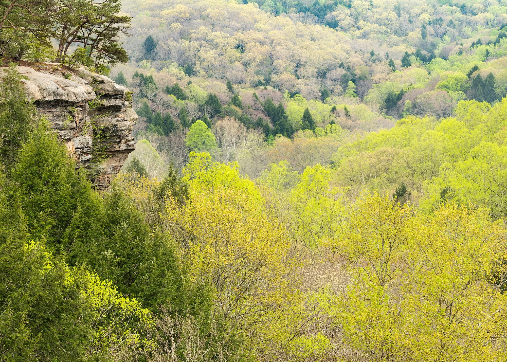 High Overlook, Hocking Hills | Ohio