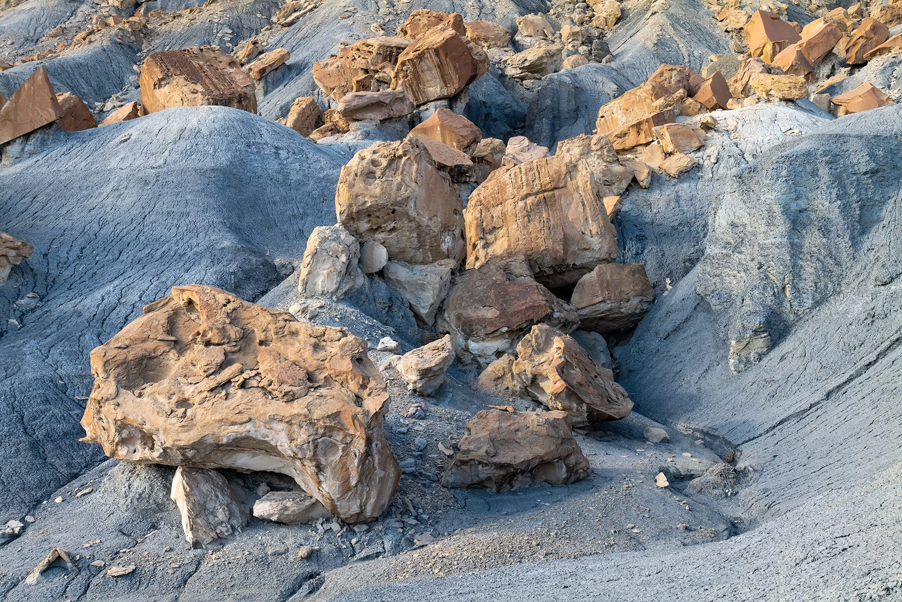 Boulder Field | Utah