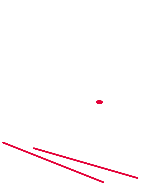 bowl2.png