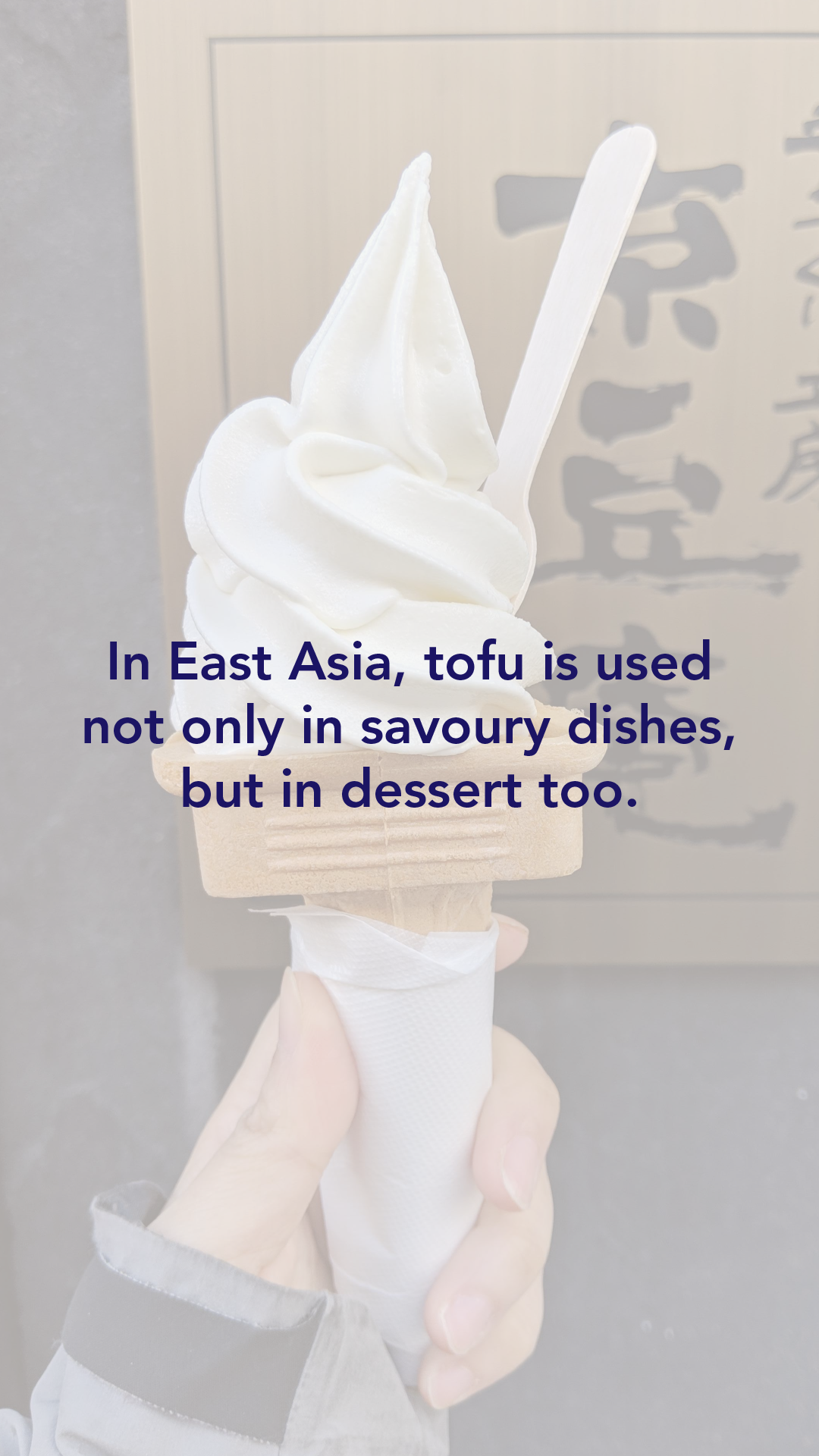 Tofu-17.png