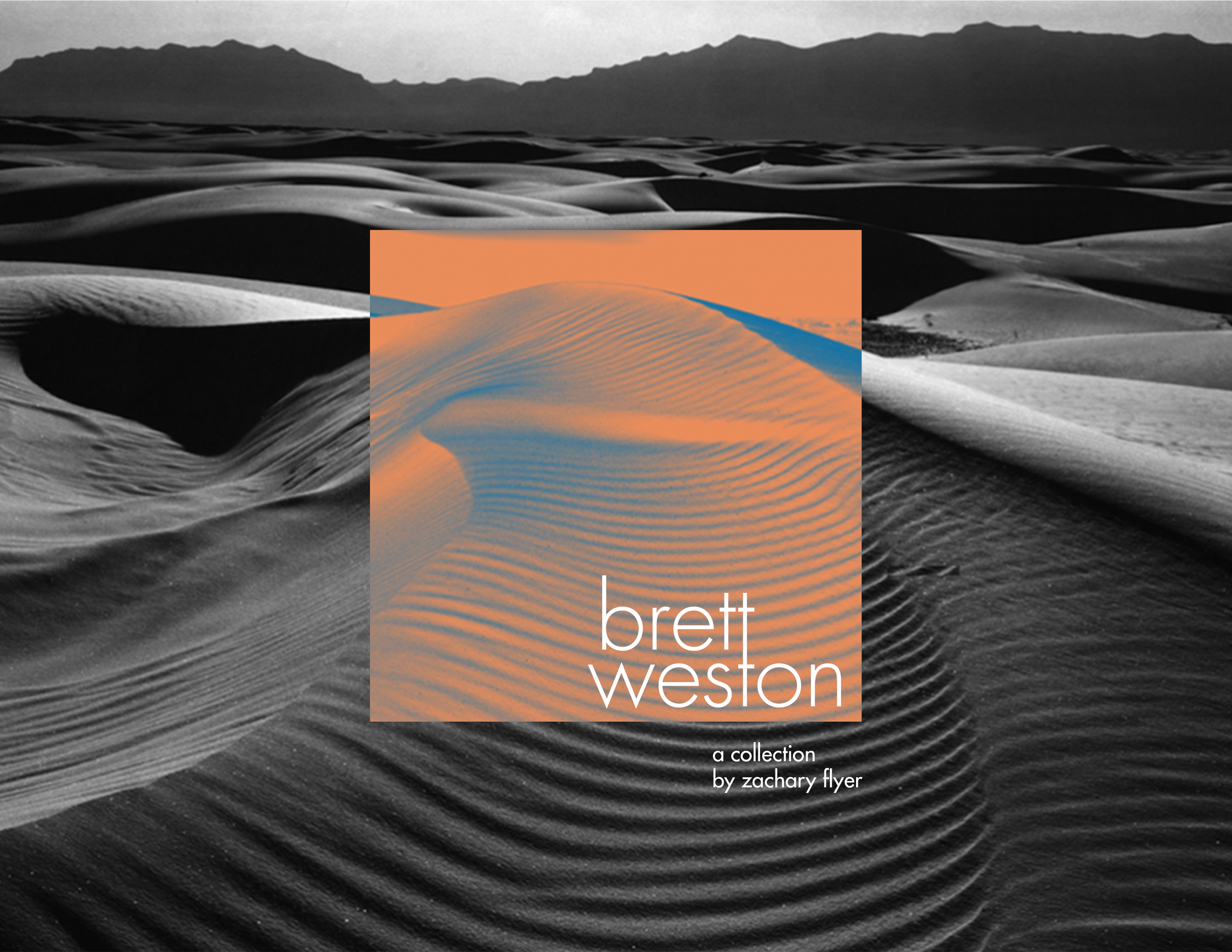 Flyer Artist Covers3.png