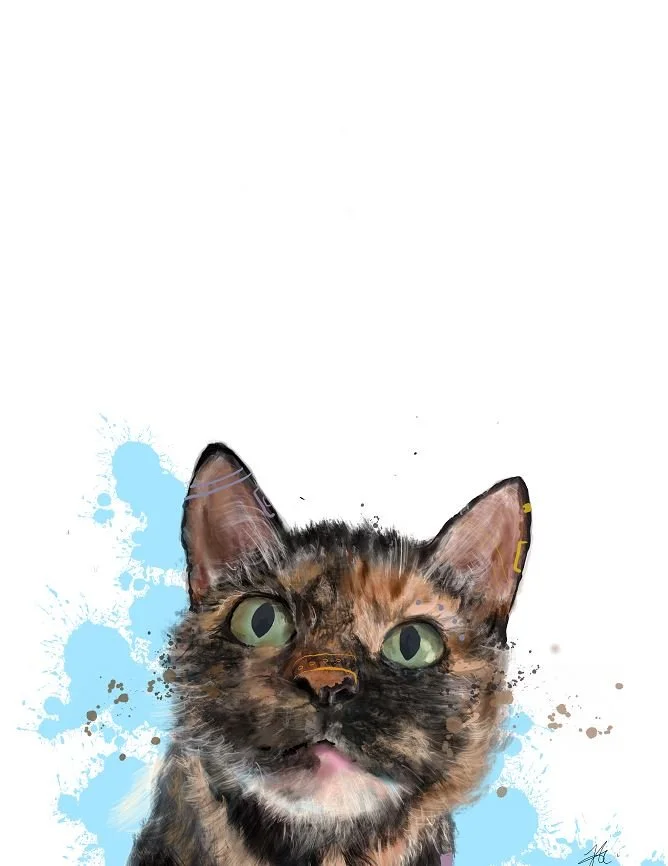 33.JPG