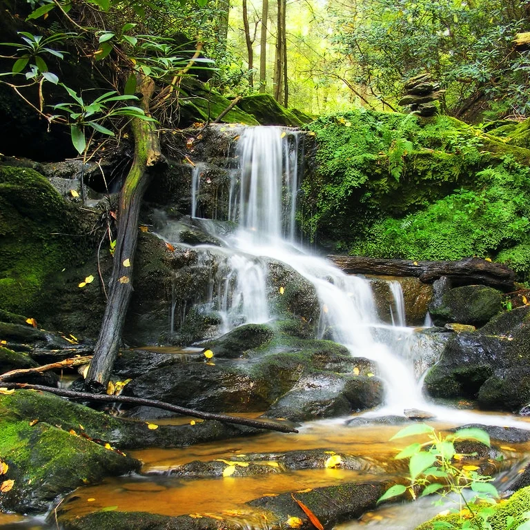 waterfall_flicker_3976259894_a32801432c_b.jpg