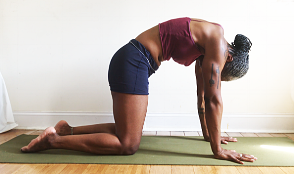 marjaryasana. (cat pose)