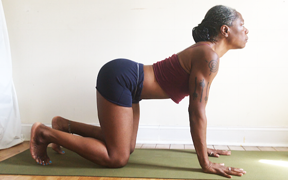 bitilasana. (cow pose)