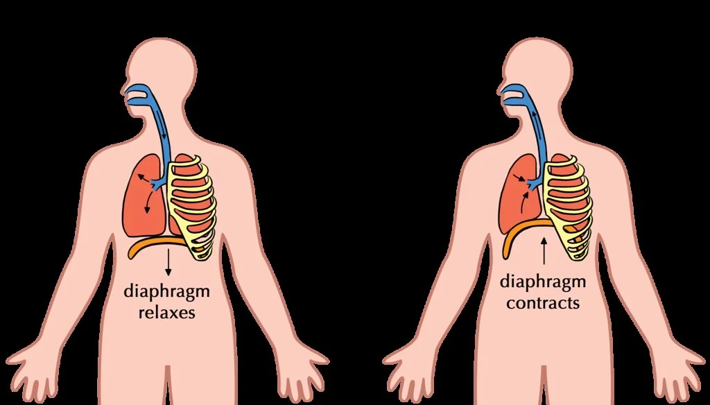 image: flcker.com