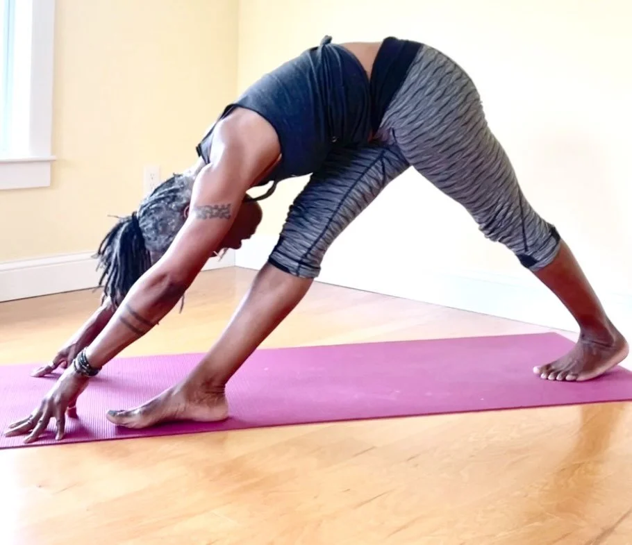 NATIONAL SHUTDOWN 1/30: 
We move at 12noon

I get to

&bull; lead another class themed for resistance and standing up

* offer a safe space and practice for people to steady, ground and soothe the parts of themselves that need calm, and the release o