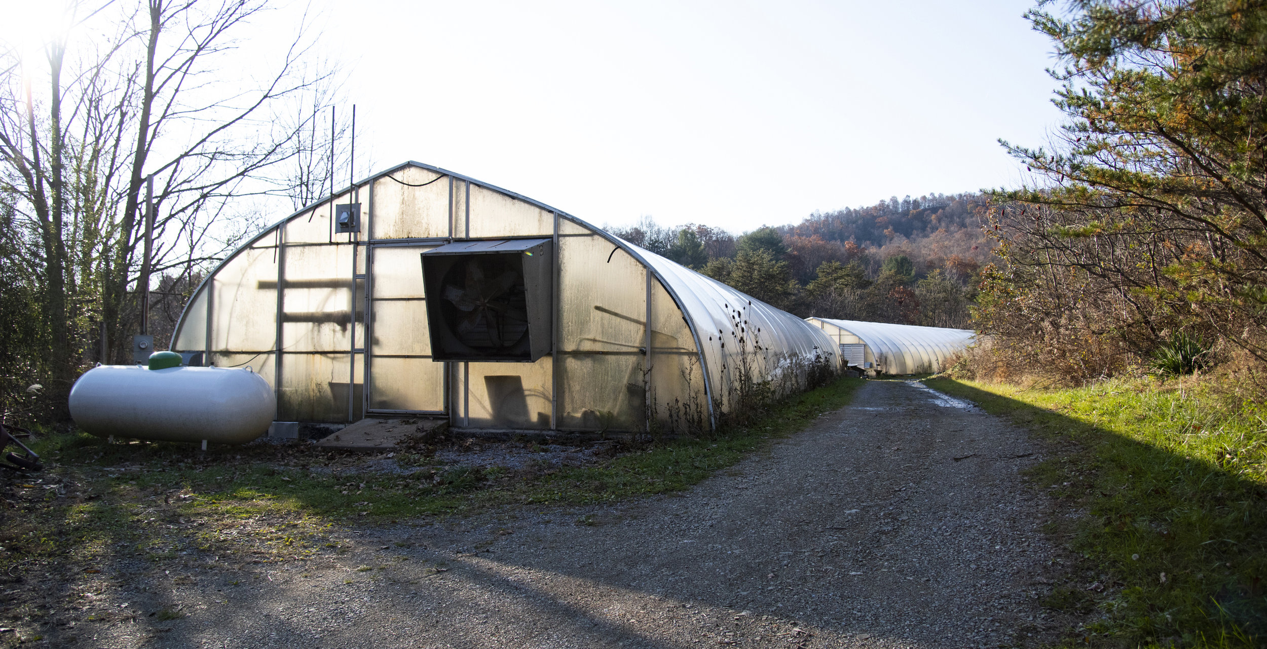  Two community greenhouses are tucked away in Julian Woods. The first greenhouse is used for wastewater treatment, and the second greenhouse is used by Deb Fisher for growing dahlias that she sells at the Downtown State College Farmers Market. 