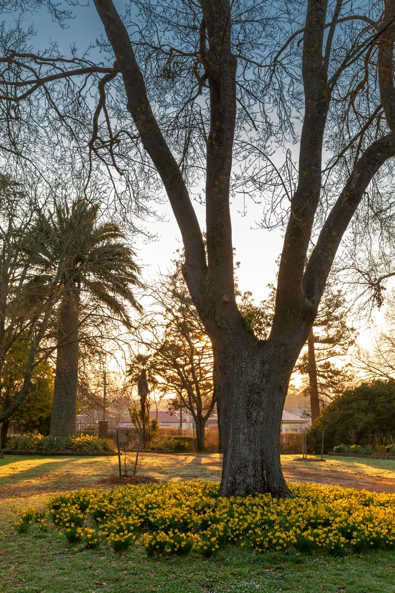 Friends of Botanic Gardens