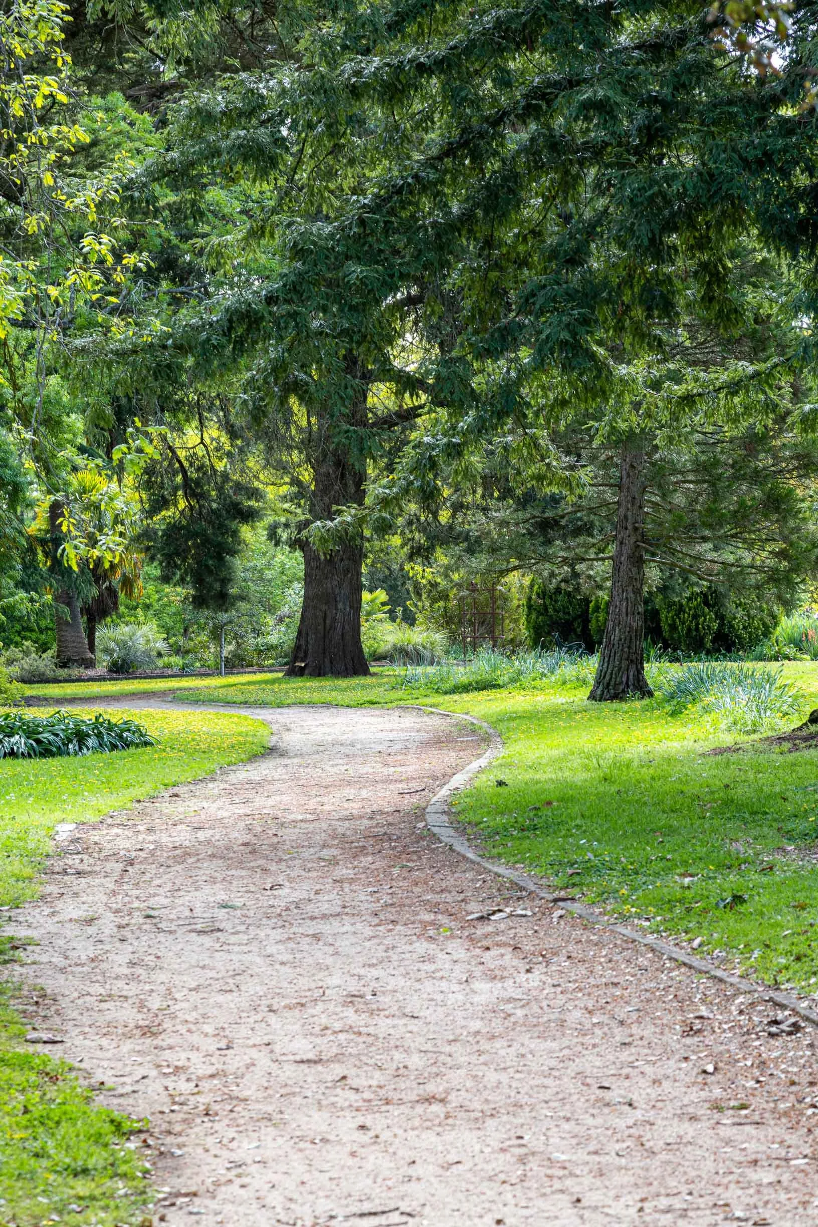kyneton-botanic-gardens-11.jpg