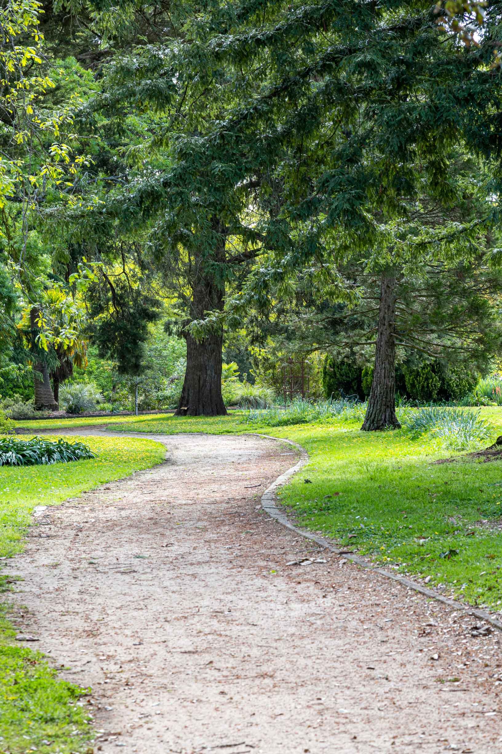 kyneton-botanic-gardens-11.jpg