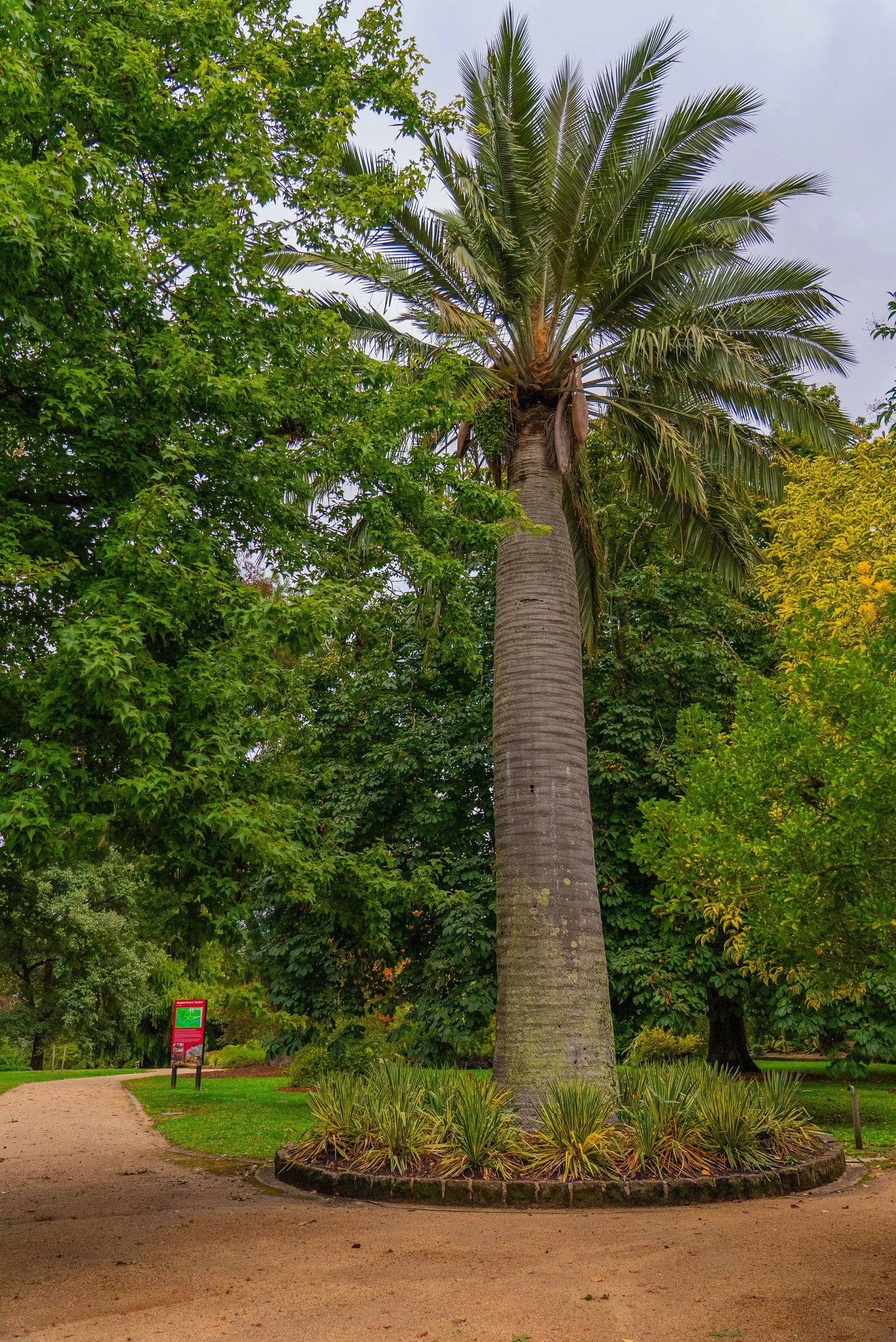kyneton-botanic-gardens-3.jpg