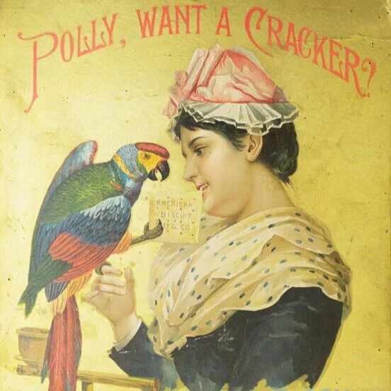 TMMMCI/MIMT - Ep 003: Salty Wicket