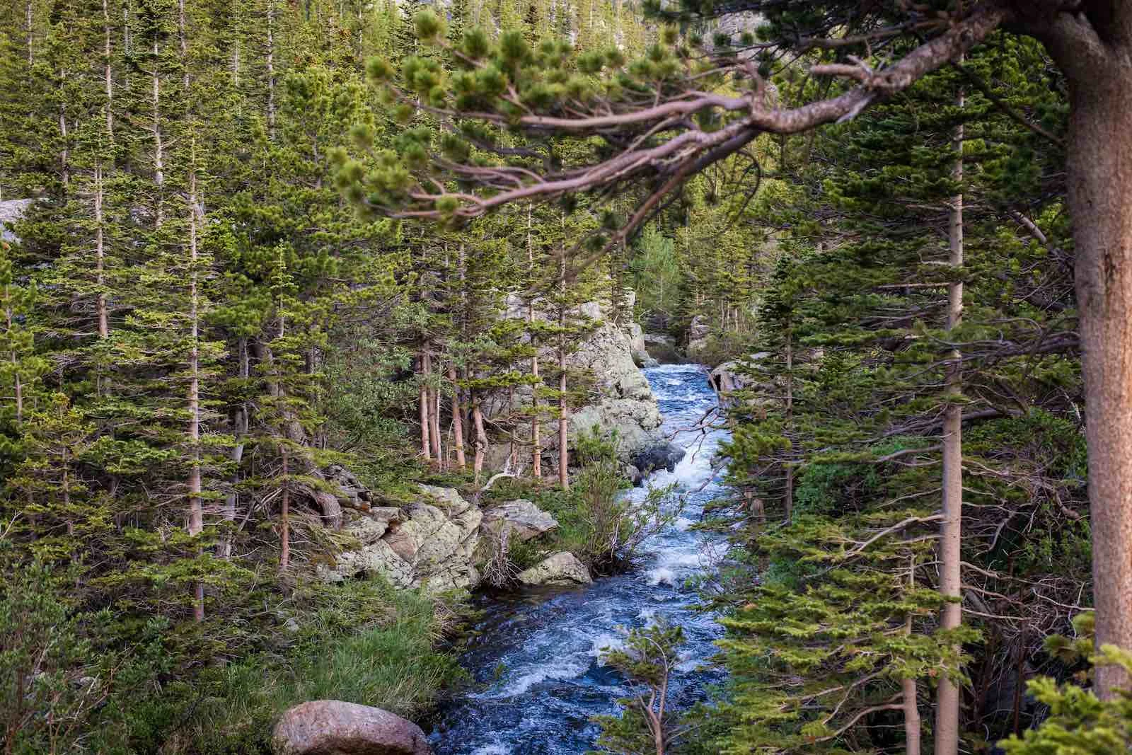 Photo taken in Rocky Mountain National Park, Colorado, USA. Hiking up to Black Lake.