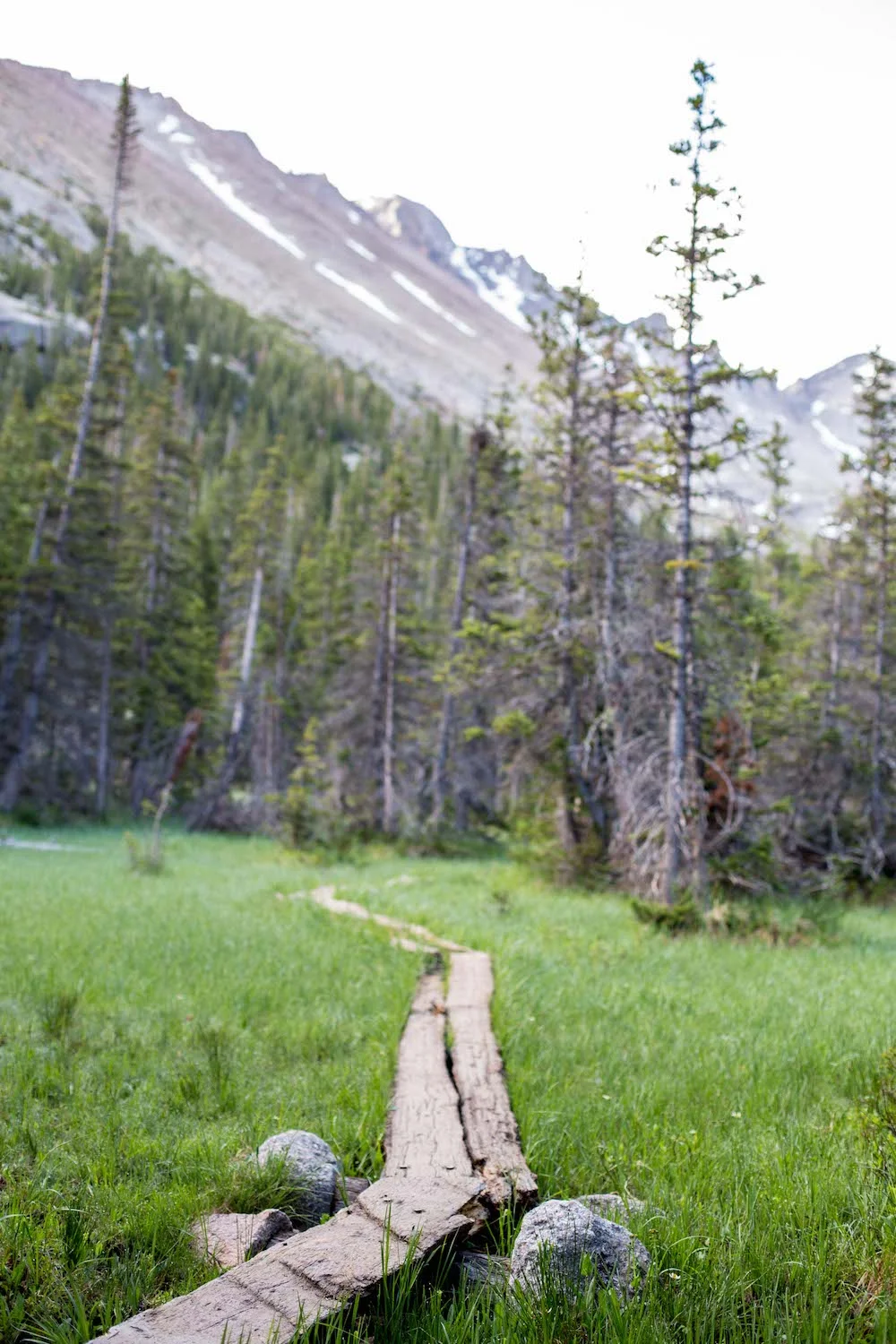 trail-somewhere.jpg