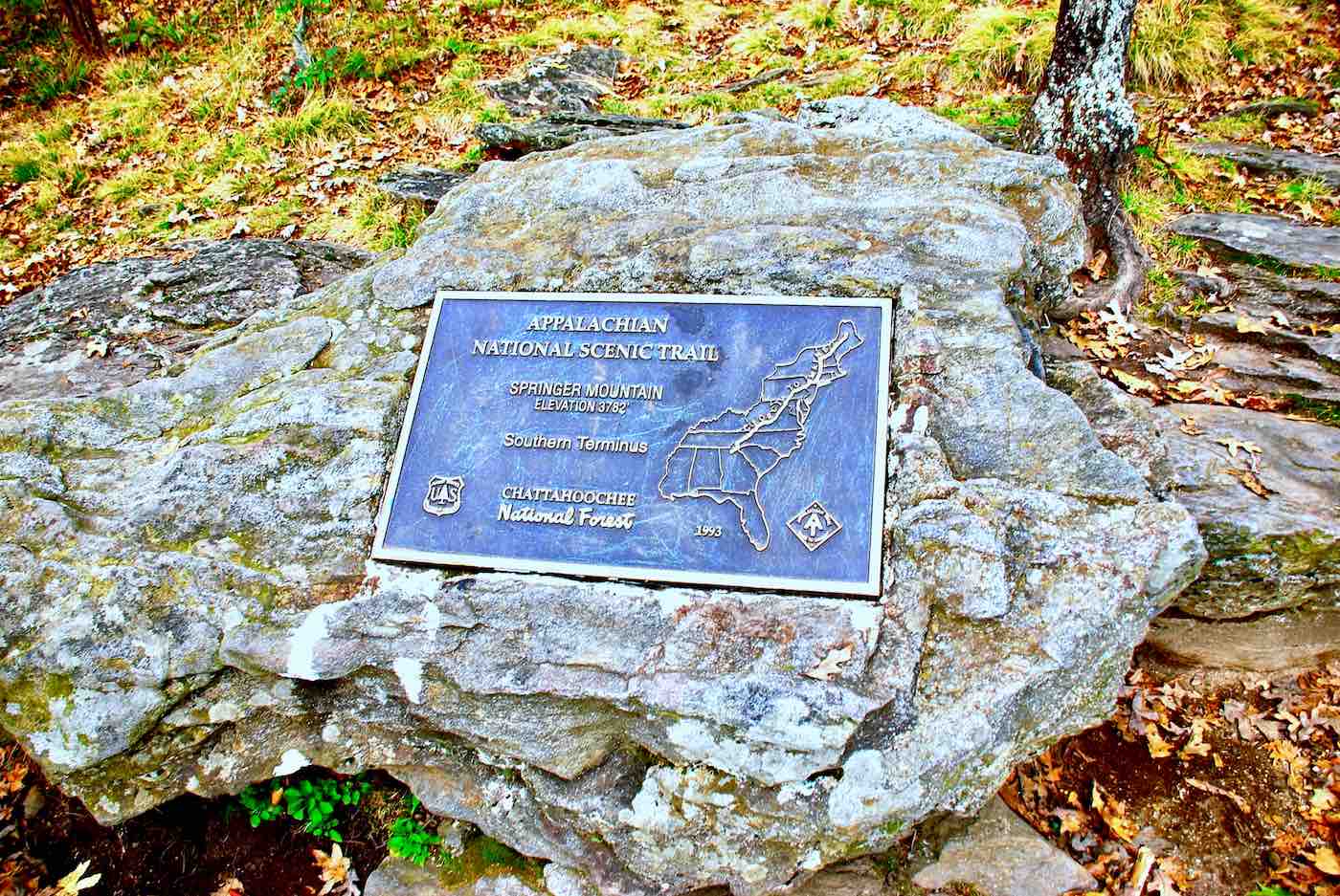 springer-mountain-summit.jpg