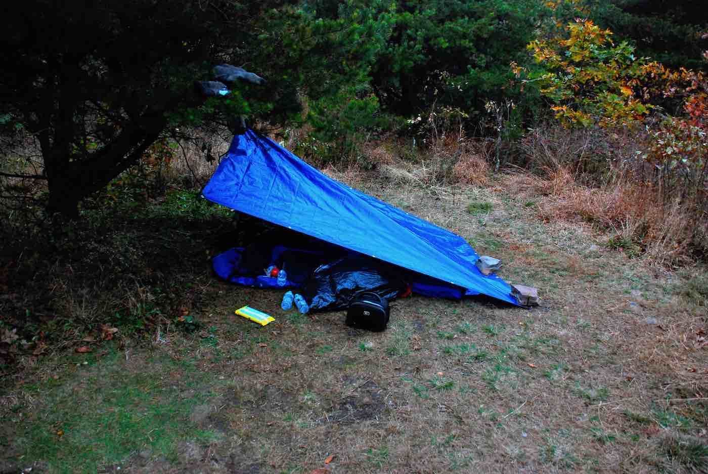 springer-mountain-web.jpg