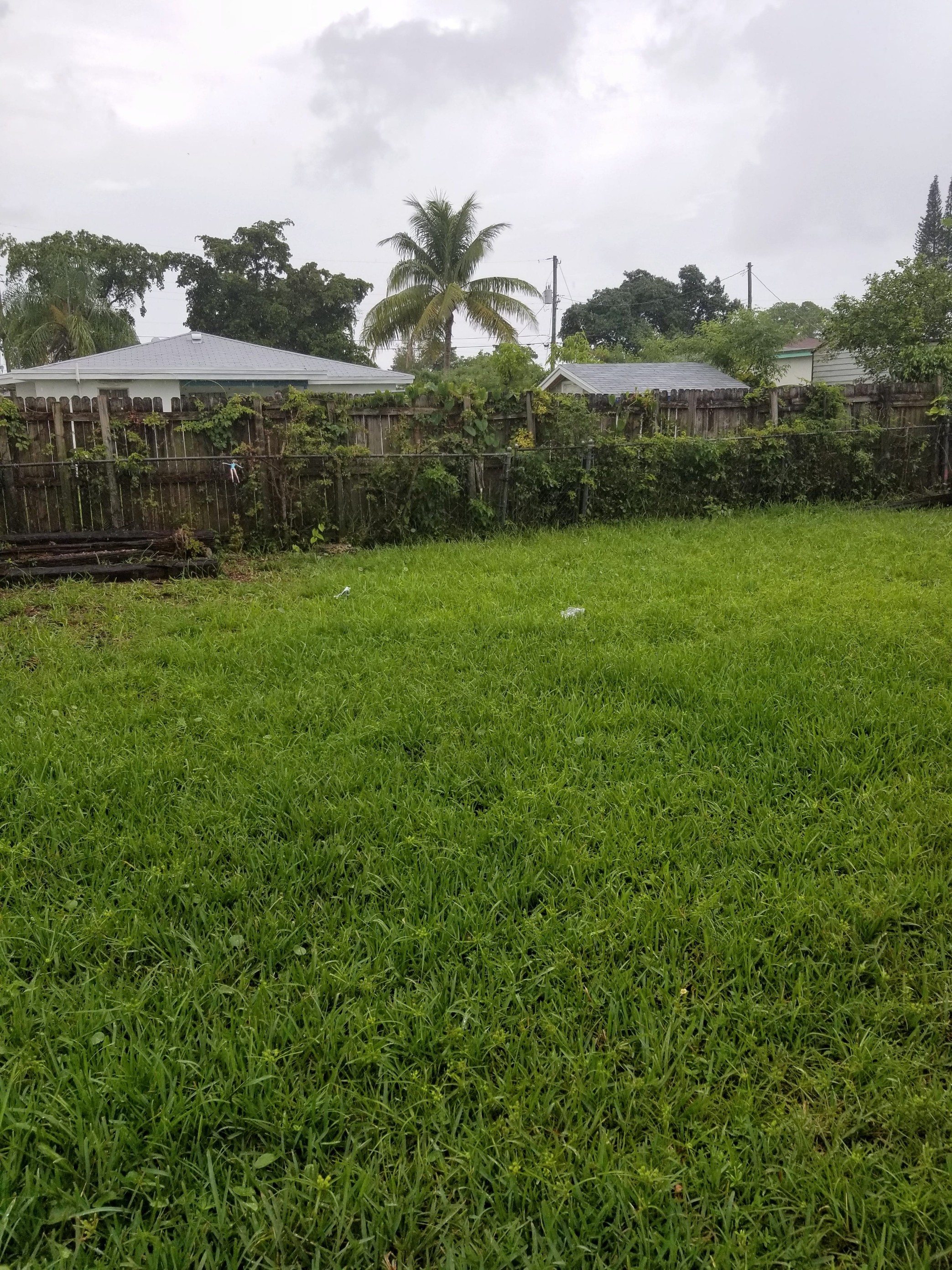 20180614_120147-01-min.jpg