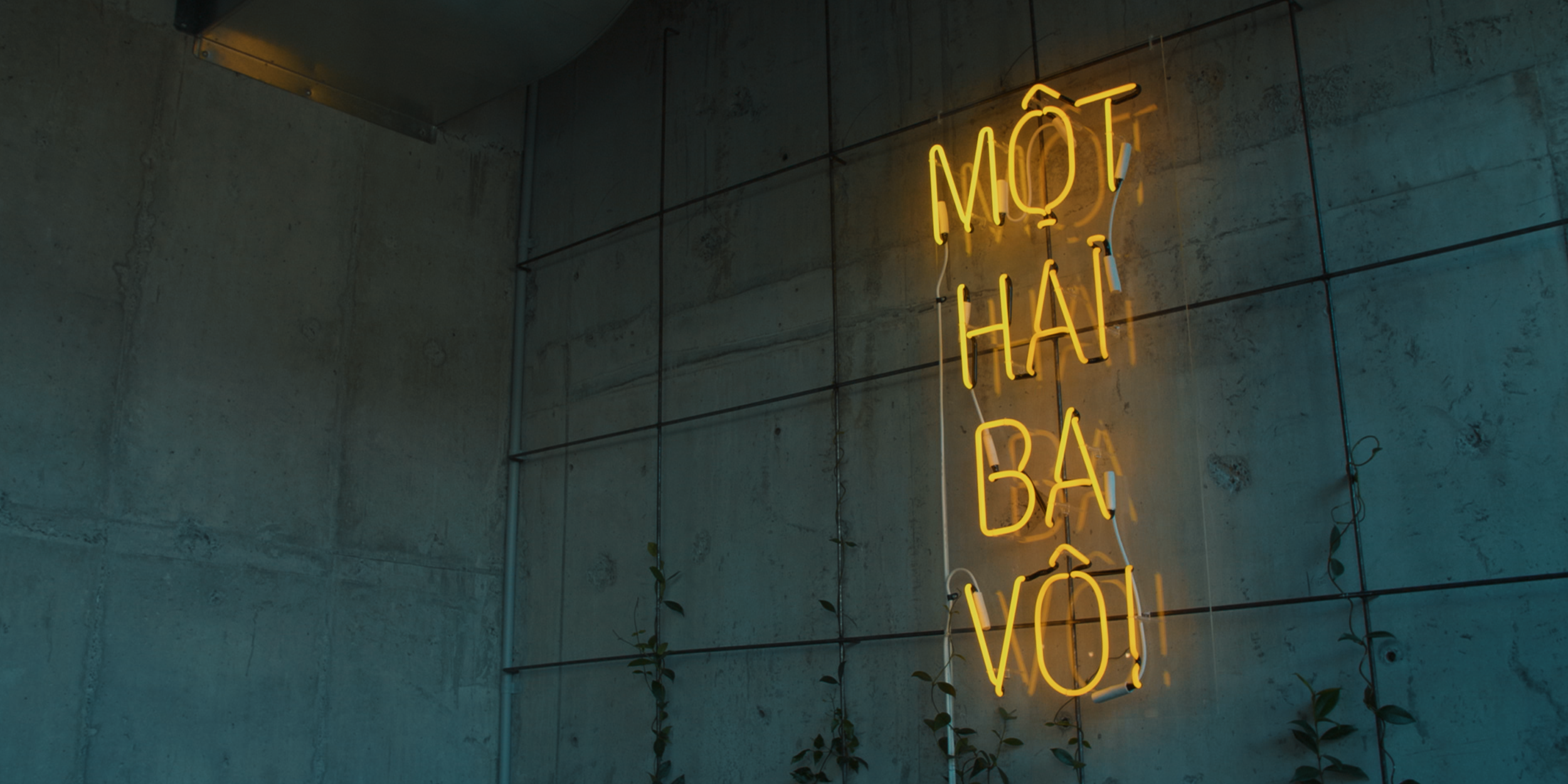 Bahn Mi 11.png