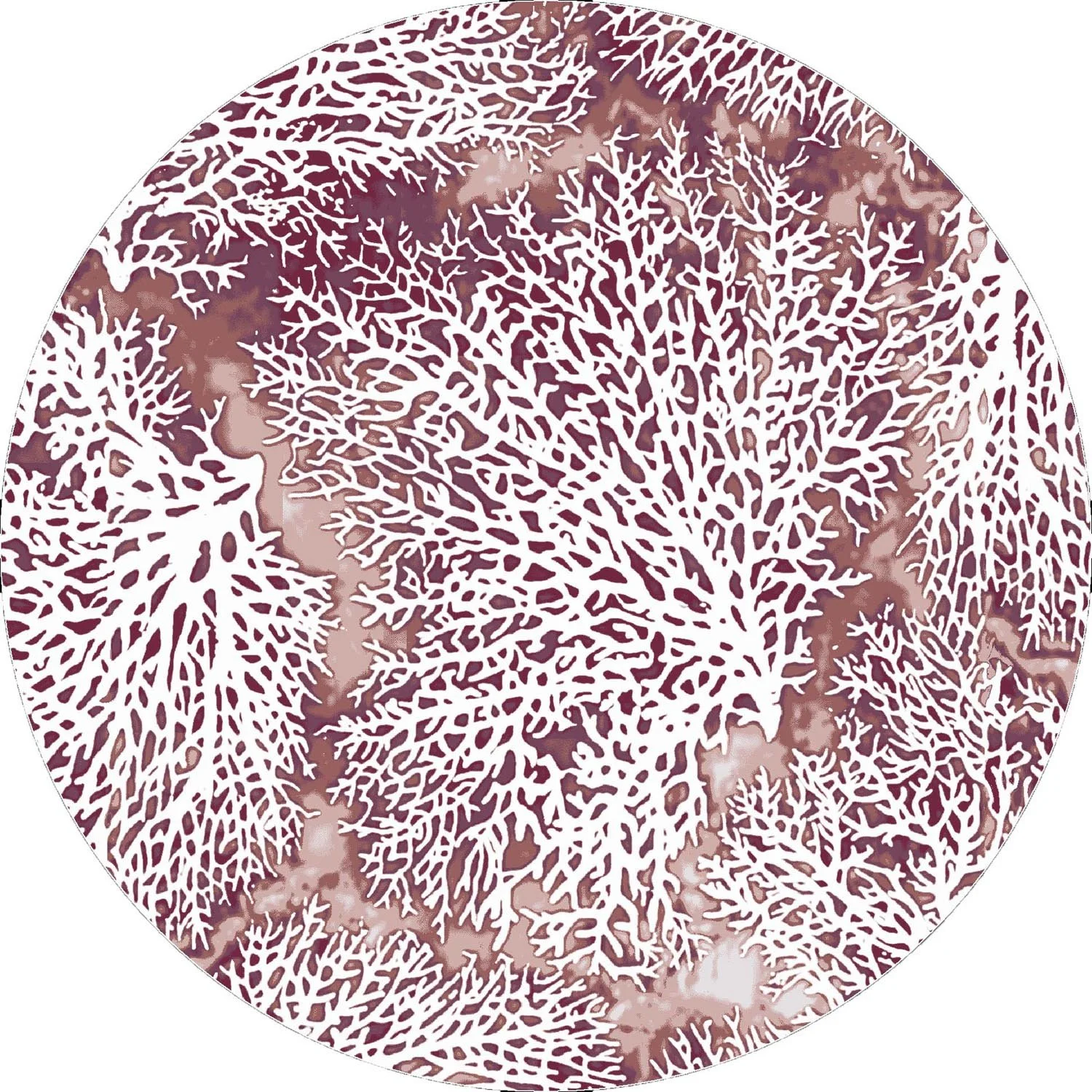 Daydreams- Merlot- 8ft Round.BMP copy.jpg