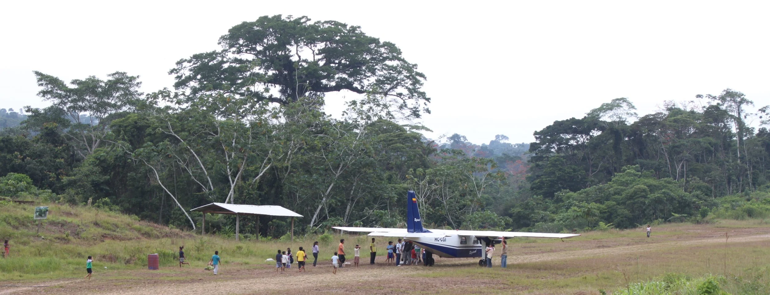 Sapara territory, Ecuador, Amazonia
