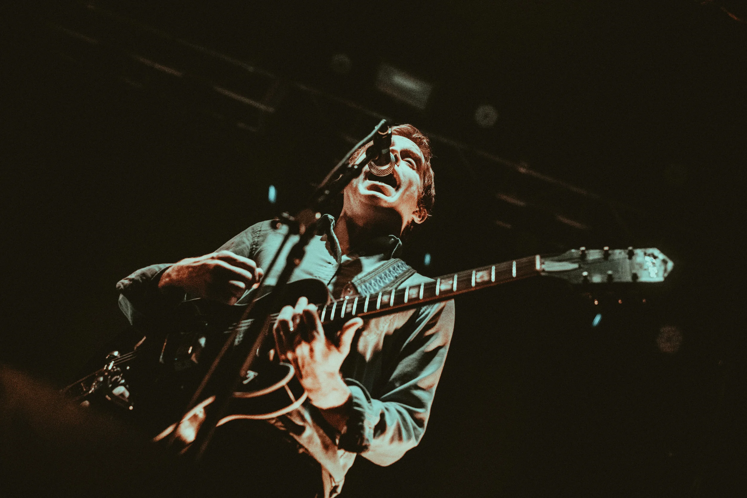 8-DrDog-@CalQuinn.jpg