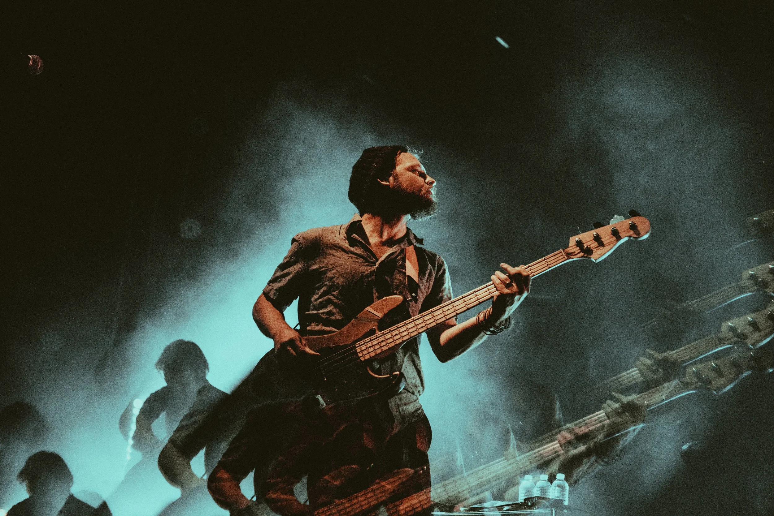 7-DrDog-@CalQuinn.jpg
