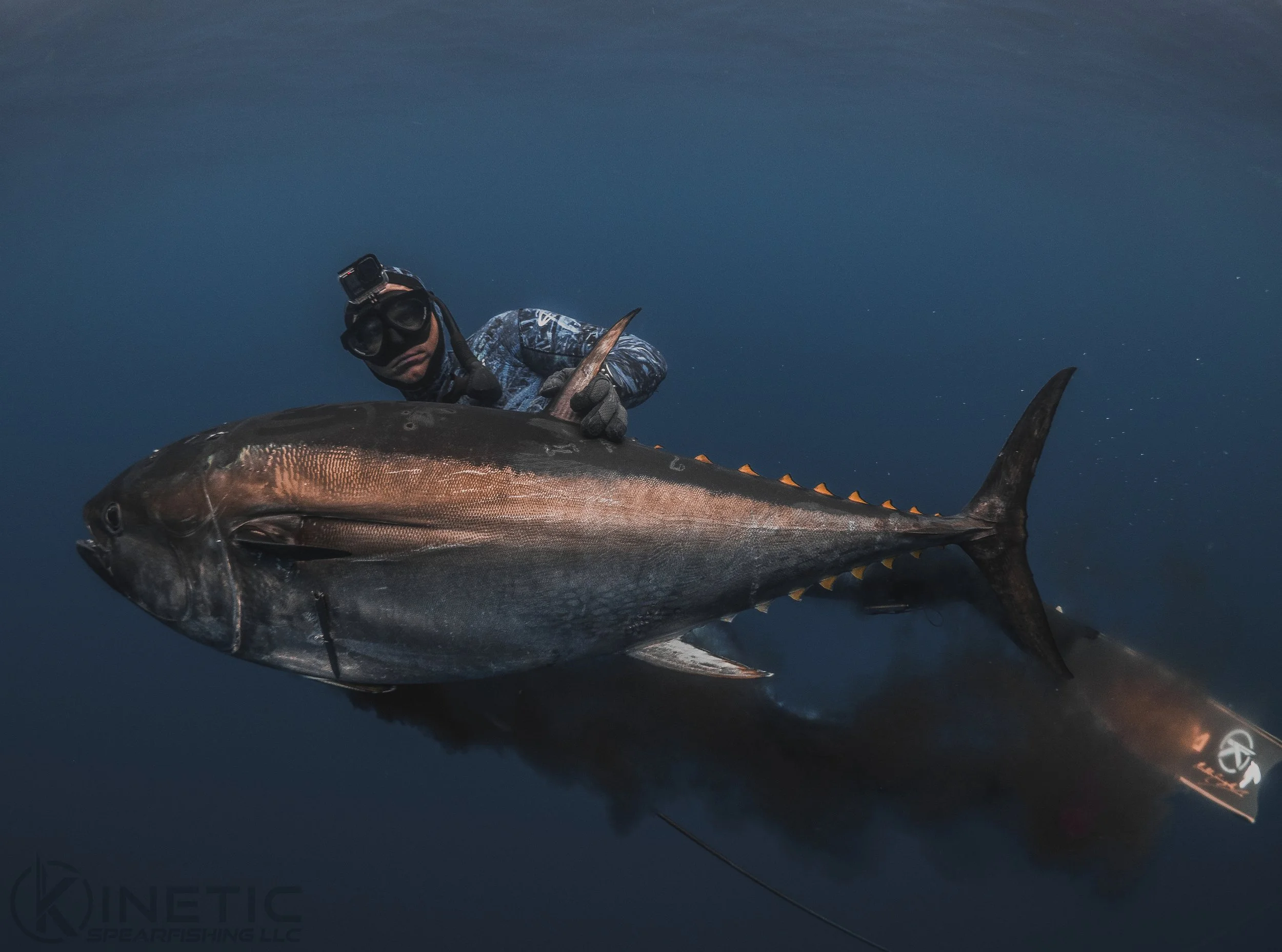 Tuna Charter-5.jpg