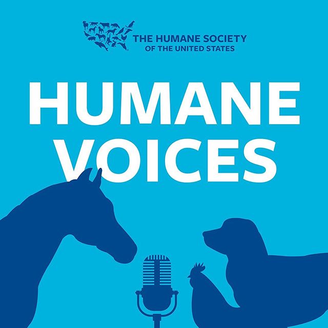 Attention all podcast fans! And animal lovers! 
Check out the brand new official podcast of The Humane Society of the United States with yours truly as one of the hosts! 
If you care about the welfare of animals, or have a special pet or two in your 