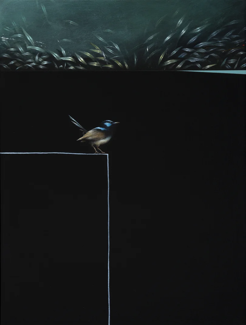 birdy_low.jpg