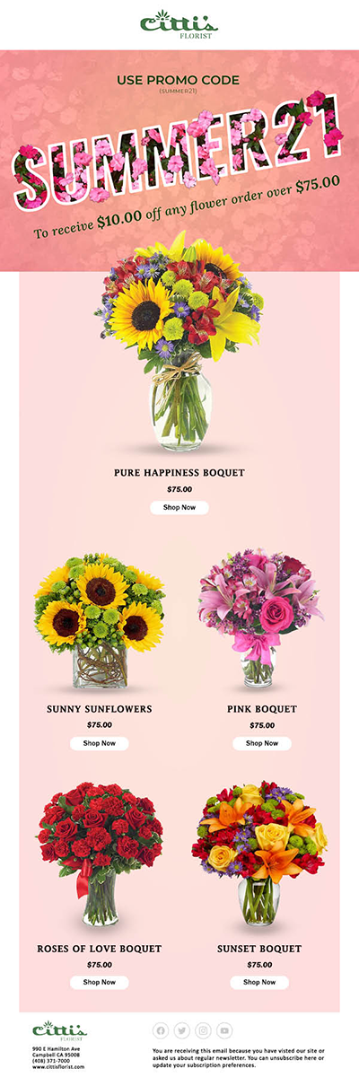 Citti Email Newsletter_WEB.png