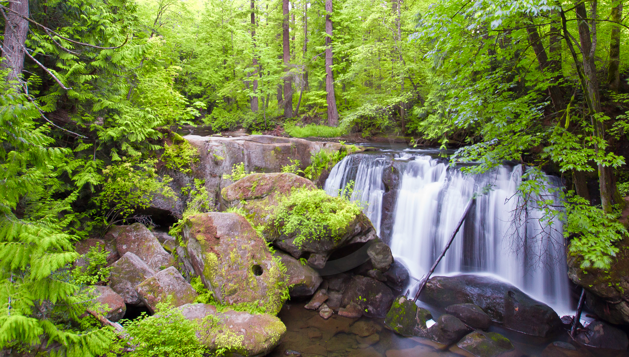 Whatcom Falls