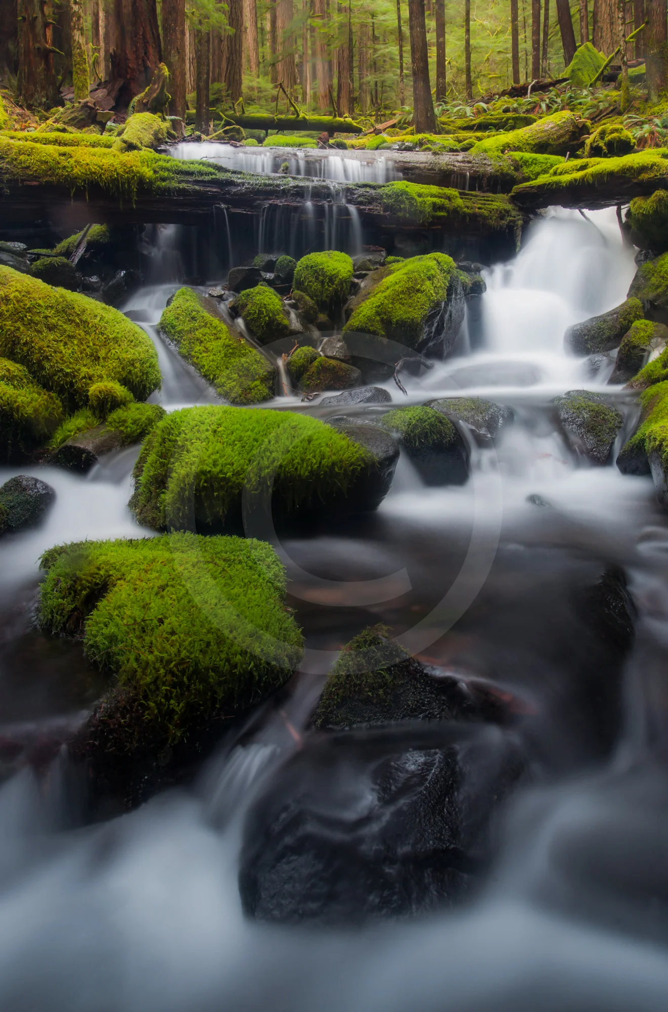 Cascade