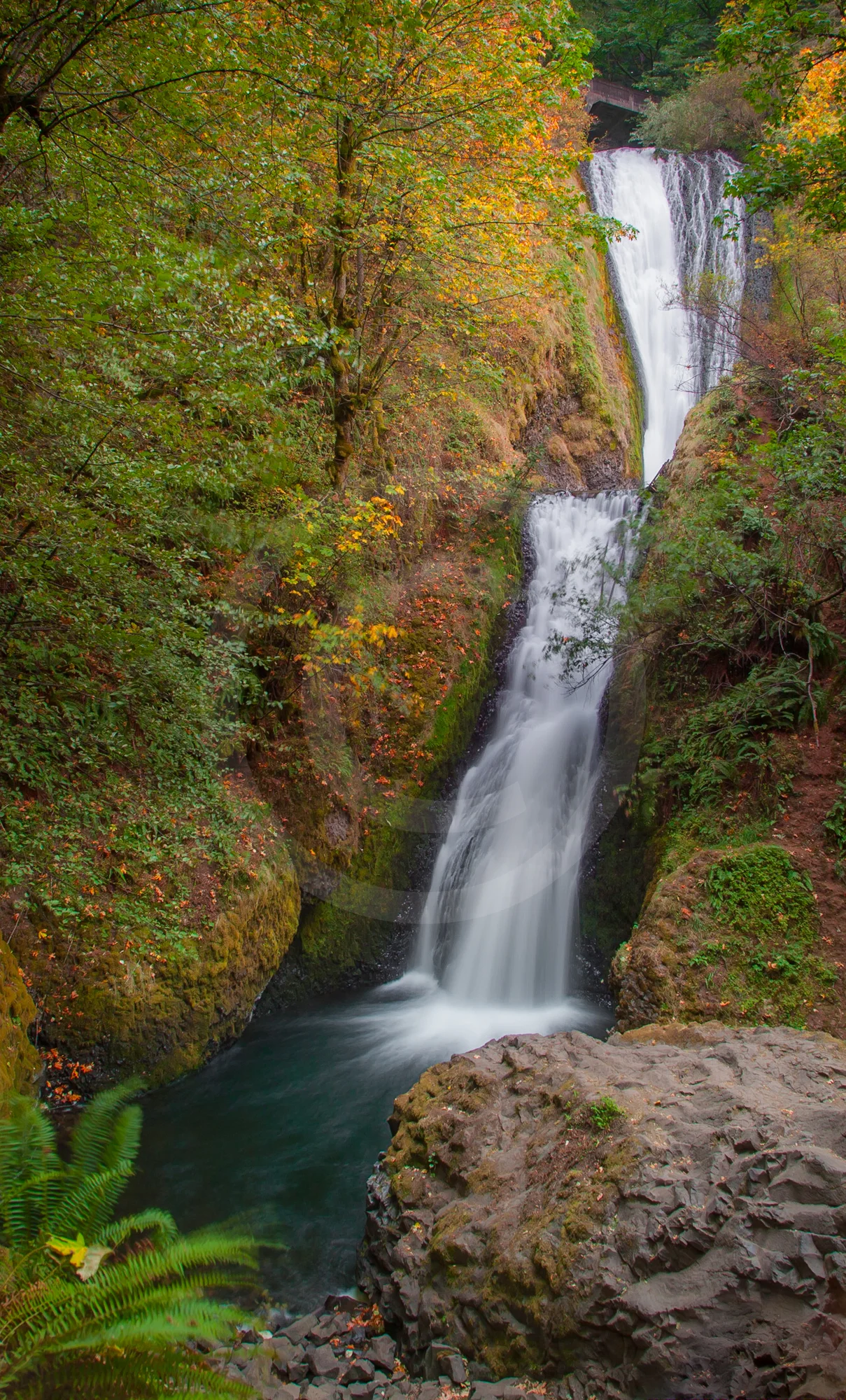 Horse-tail Falls