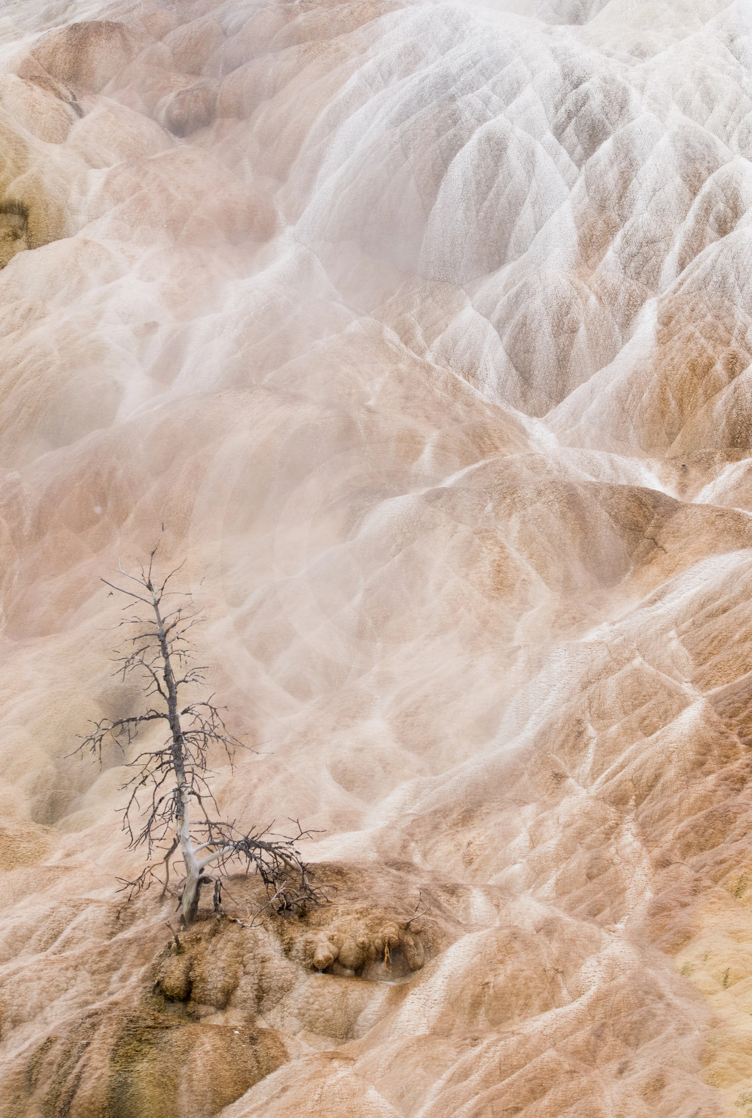 Mammoth Hot Spring
