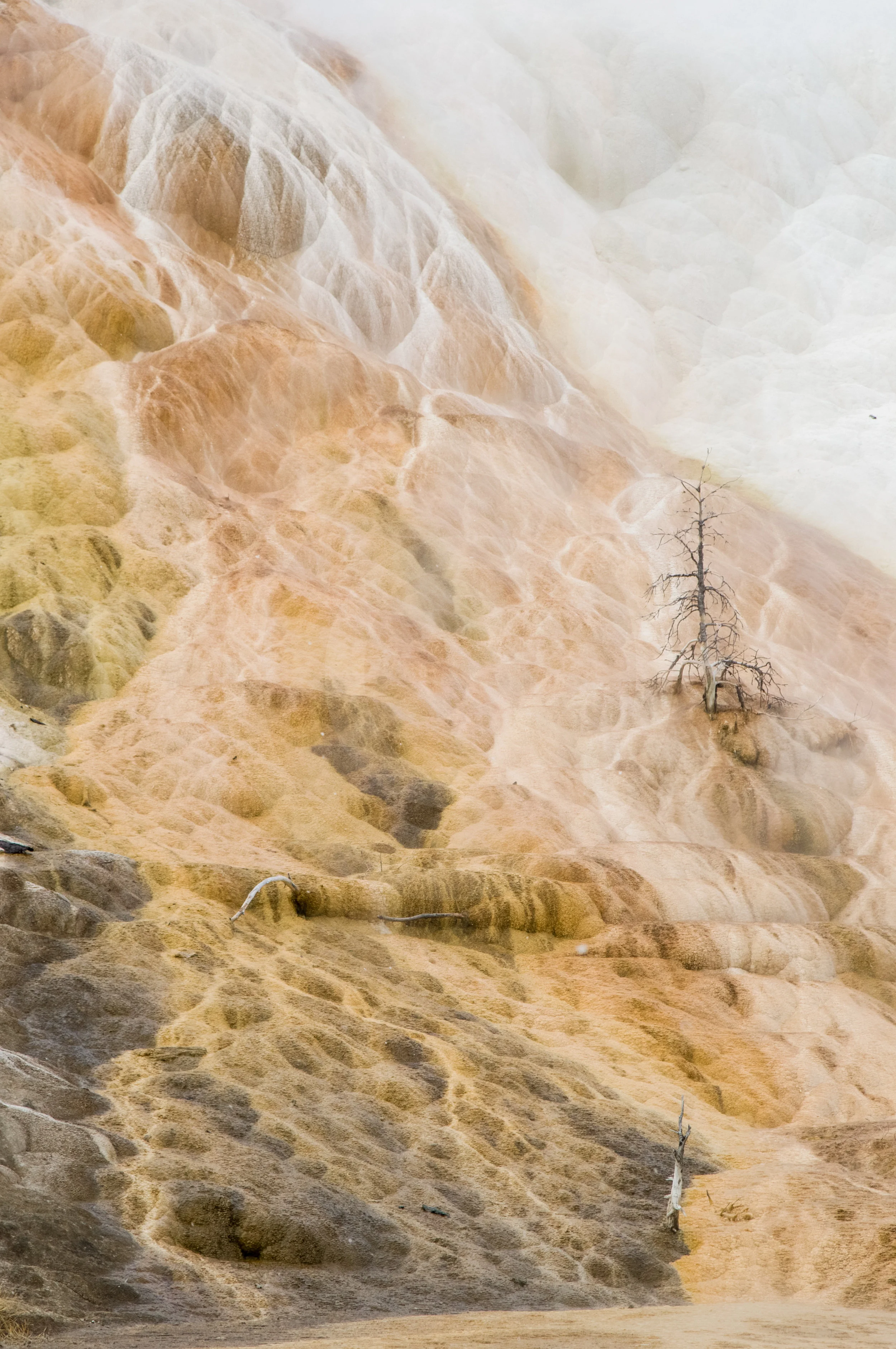 Mammoth Hot Springs