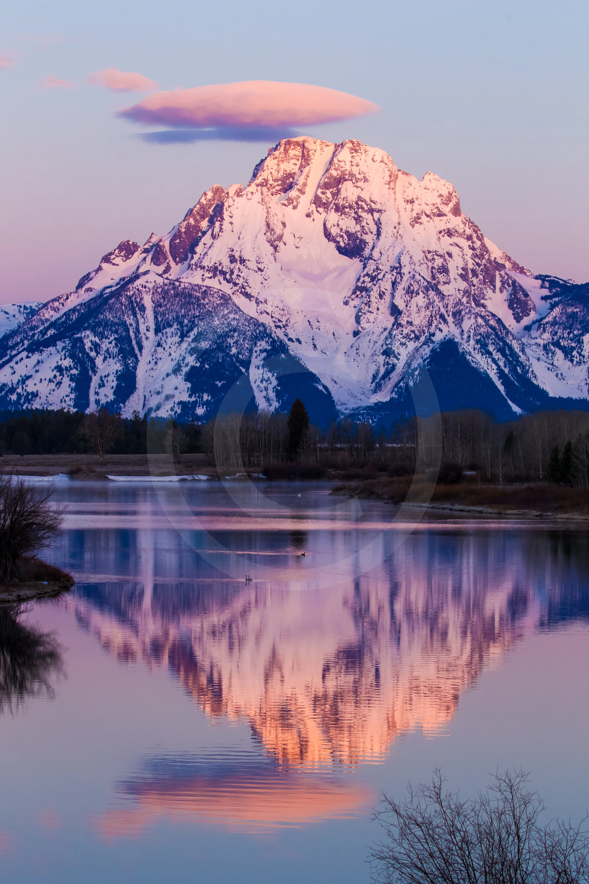 Teton Morning