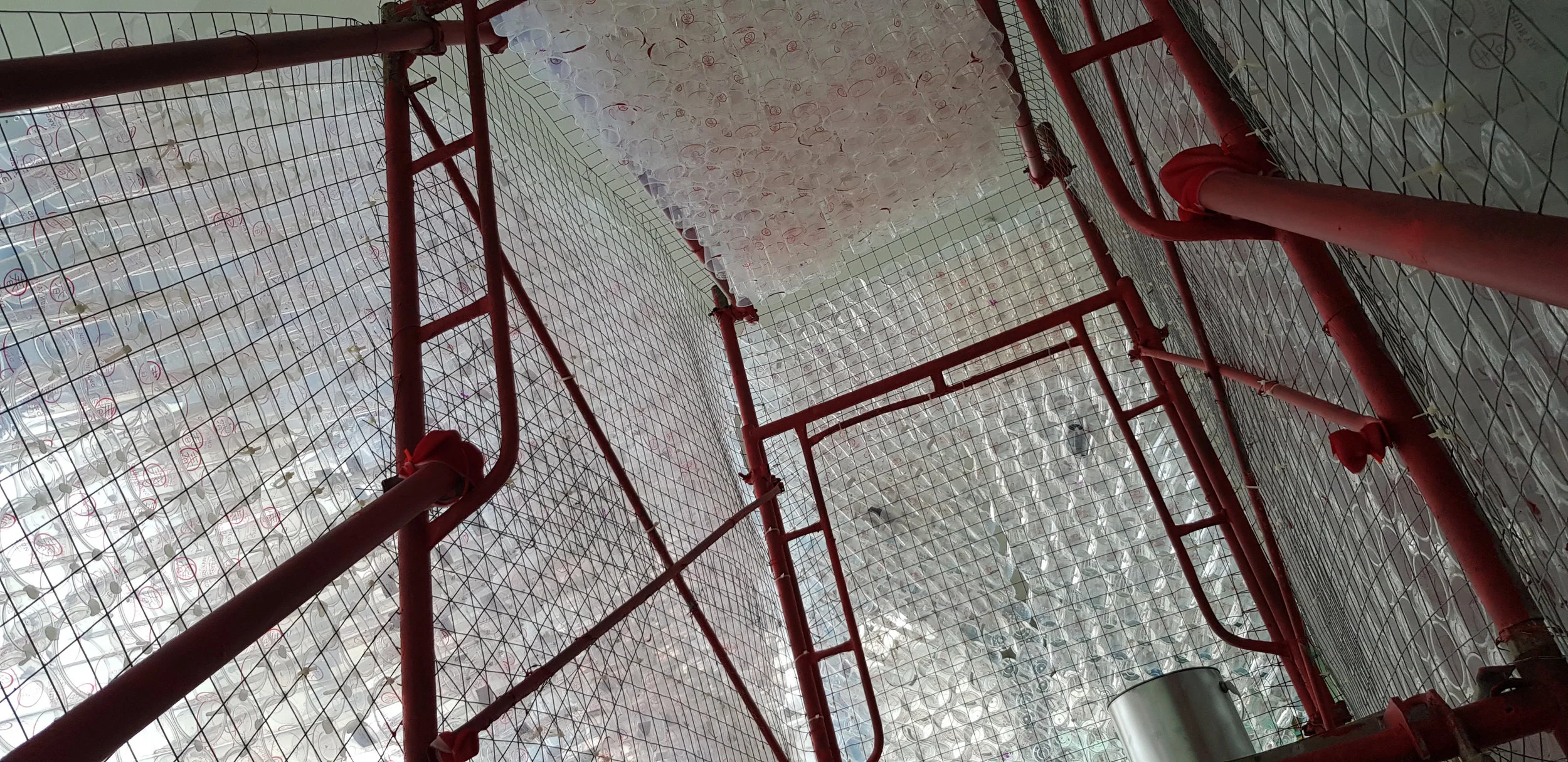 20190426_173816.jpg