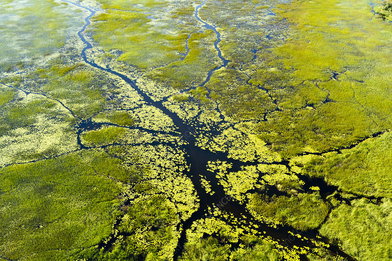 Aerial View of the Okavango Delta