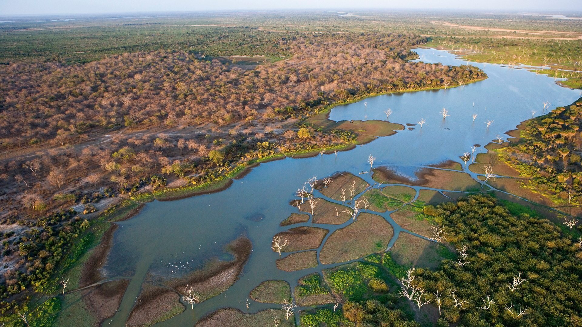 Okavango Delta Wildlife